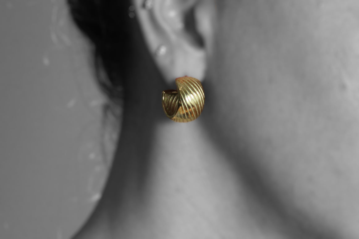 Kraz Earrings
