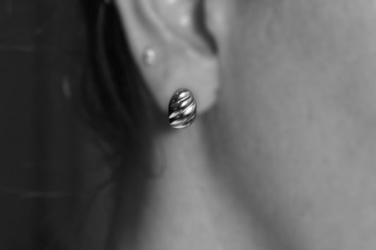 Absolutno silver earrings
